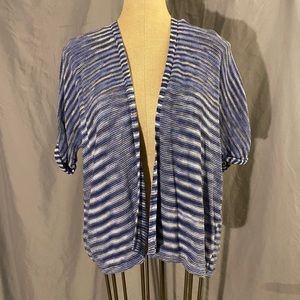 GAP blue and white sweater